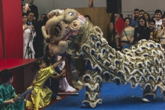ano_novo_chines2