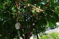 IMG_20190527_094157