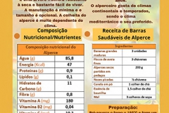 9H_-Alperce