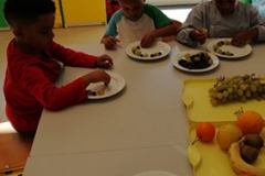 IMG-20211020-WA0040