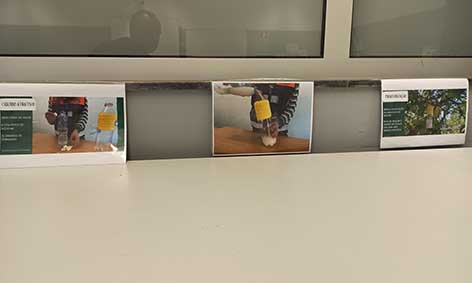 2 (1)
