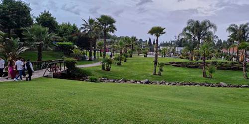 IMG-20240608-WA0017