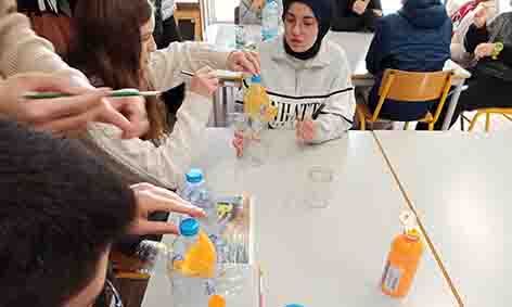 IMG-20250204-WA0025 (1)