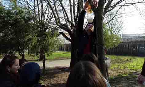 IMG-20250204-WA0032