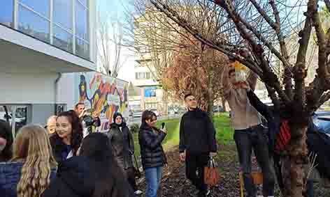 IMG-20250204-WA0033 (1)