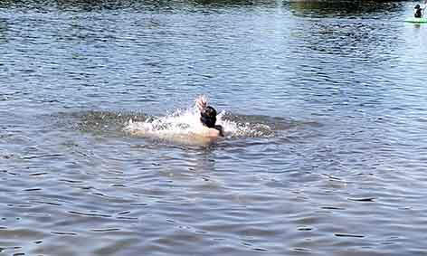 IMG-20250529-WA0072