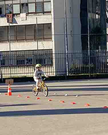 IMG 3526