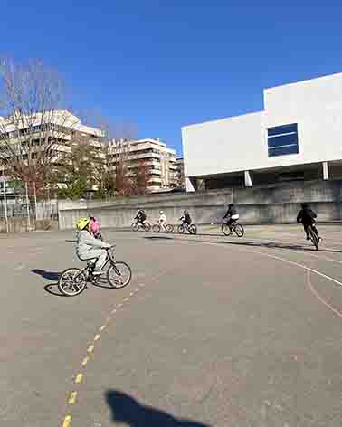 IMG 3547