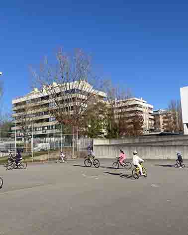 IMG 3561