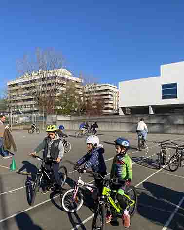 IMG 3572