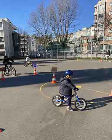 IMG 3588