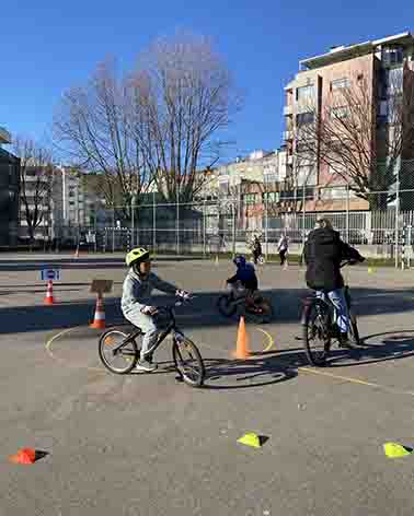 IMG 3595