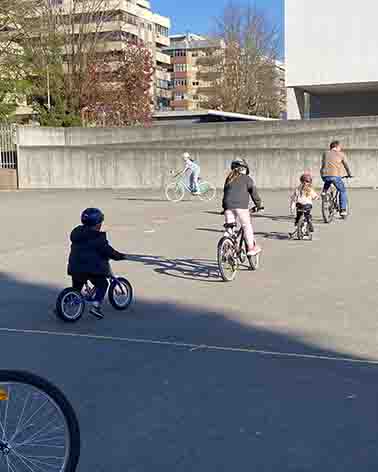 IMG 3620