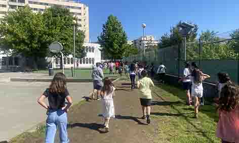 IMG 7487