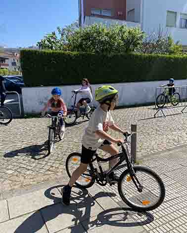 IMG 8288