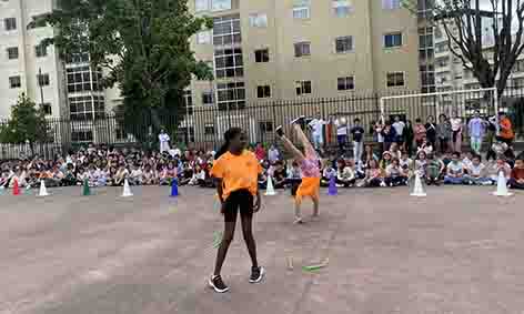 IMG 8895