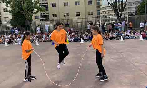 IMG 8977