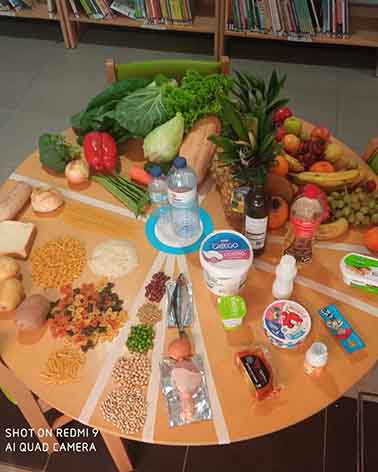 Roda-dos-alimentos-1