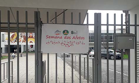 SAfetos1